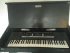 PSR E243 Electric Organ