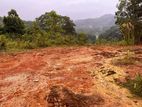 පස්යාල නගරයට නුදුරින් View Point එකක් සහිත ඉඩම ඉක්මනින් විකිණිමට