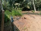 Waliweriya Land for Sale