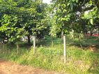 Pugoda-Galpothugoda Land for Sale (SSPL-240)