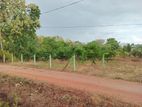 පුජා නගරය ලගින්ම සින්නක්කර ඉඩමක් අනුරාධපුර