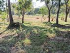 පුජා නගරයට 3km දුරින් සින්නක්කර ඉඩමක්