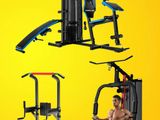 Pullup Dip Station Bench Home Gym Dumbbell Weight Plate Free