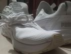 Puma New White Shoe