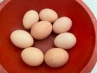 Pure Kadaknath Chicken Eggs