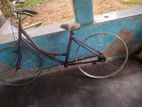 Push Bicycle