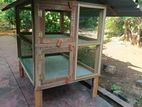 Chicken Cage