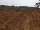 Puttalam : 25 Acers Land for Sale in 8 post