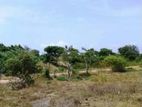 Puttalam : 6 acres Land for Sale facing the Lagoon