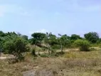 Puttalam : 6 acres Land for Sale facing the Lagoon