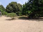 Puttalam : 7.5 Acres Bare Land with old House for Sale