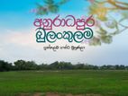 පුත්තලම් පාරෙන් සින්නක්කර බිම් කොටස්