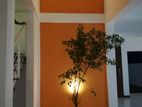 Putty and Painting Construction