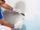 Putty / Painting Service