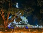 පූජා නගරයට කිට්ටුවෙන් නේවාසික ඉඩම් කොටස්