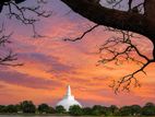 පූජා නගරයට ලගම ඉඩමක් අනුරාධපුර