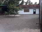 Wennappuwa House for Sale