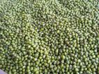 Mung Bean