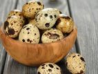Quail Eggs