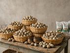 Quail Eggs காடை முட்டை