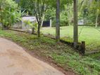 Quality land for sale in Imbulgoda Gampaha
