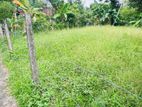 Quality land for sale in imbulgoda Gampaha