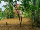 Quality residential land for sale in Gampaha imbulgoda
