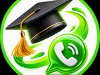 Quality SLIM Dissertation Help Assignment Essay