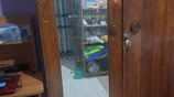 Wooden Home Furniture Set