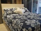 Queen Bed with Mattress