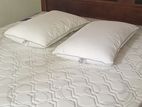 Queen Size Bed, Spring Matress,gel Pillows