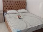 Queen Size Cushion Bed with Spring Mattresses 7 Inch.