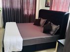 queen size divan bed with spring mattress (G-17)