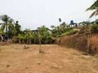 රාගමෙන් වටිනා බිම් කොටස් 2ක් විකිණීමට / ER 11238