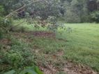 Land for Sale Ruwanwella