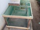 Rabbit Cage