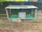 Rabbit Cage