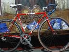 Racing Bicycle