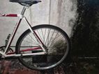 Racing Bicycle