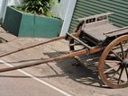 Racing Cart