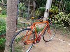 Racing stranded bicycle