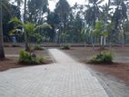 Raddolugama Land For Sale