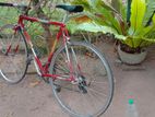 Raleigh Bicycle