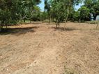 Ragama : 300 Perches High Residential Land for Sale