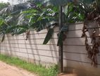 Ragama Bare Land for Rent
