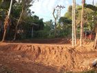 Ragama Batuwatta Land