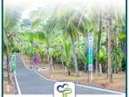 Ragama Land for Sale