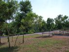 Ragama Land for Sale(b)