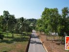 Ragama Luxury Land Plots For Sale