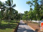 RAGAMA Secure your land today for a better tomorrow.